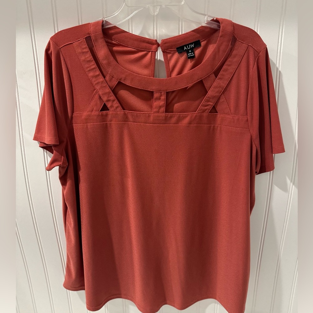 Terracotta work blouse with showstopping neckline